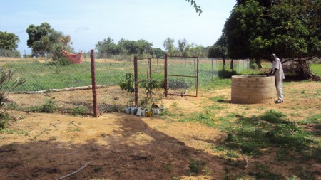 Orto in costruzione vicino a pozzi di Tamou - luglio 2011