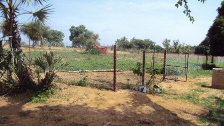 Orto in costruzione vicino a pozzi di Tamou - luglio 2011