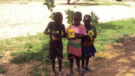 Orto in costruzione vicino a pozzi di Tamou - luglio 2011