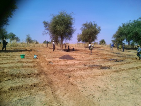 Orto vicino ai pozzi di Banjo avanzamento lavori - novembre 2013