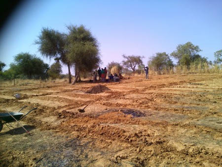 Orto vicino ai pozzi di Banjo avanzamento lavori - novembre 2013