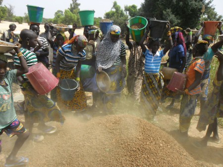 Orto vicino ai pozzi di Banjo avanzamento lavori - novembre 2013