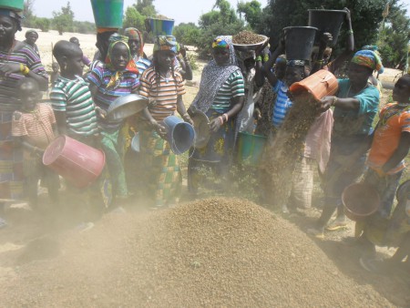 Orto vicino ai pozzi di Banjo avanzamento lavori - novembre 2013