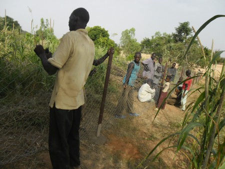Orto vicino ai pozzi di Banjo avanzamento lavori - novembre 2013