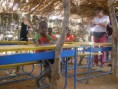 /album/scuole1/a057-jpg/