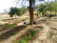 /album/scuole1/img-20220120-wa0011-jpg/