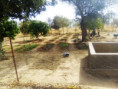 /album/scuole1/img-20220120-wa0015-jpg/