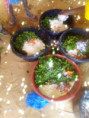 /album/scuole1/img-20220323-wa0025-jpg/