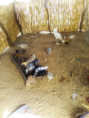 /album/scuole1/img-20220120-wa0036-jpg/